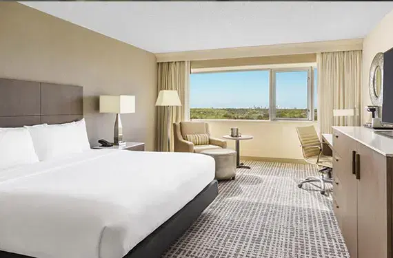 1 King Bed