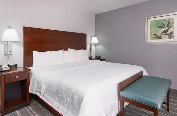 1 King Bed