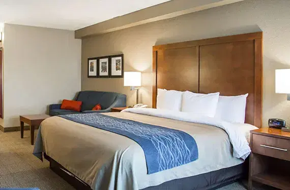 1 King Bed