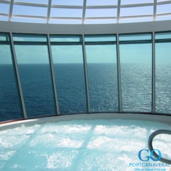 Freedom of the Seas whirlpool