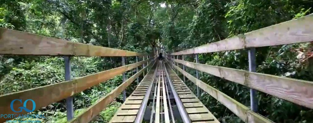 labadee alpine coaster, one of many exciting things to do in labadee
