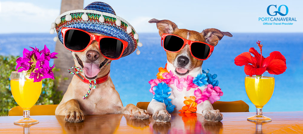 dogs posing with alcoholic beverage